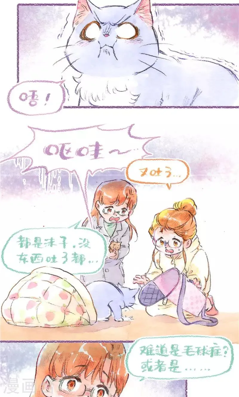 最终话 初雪 第13页