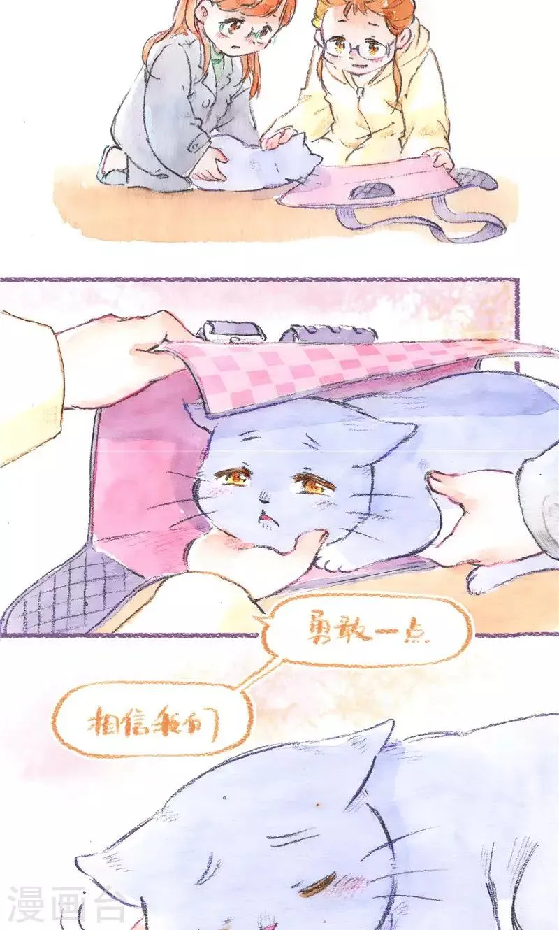 最终话 初雪 第15页