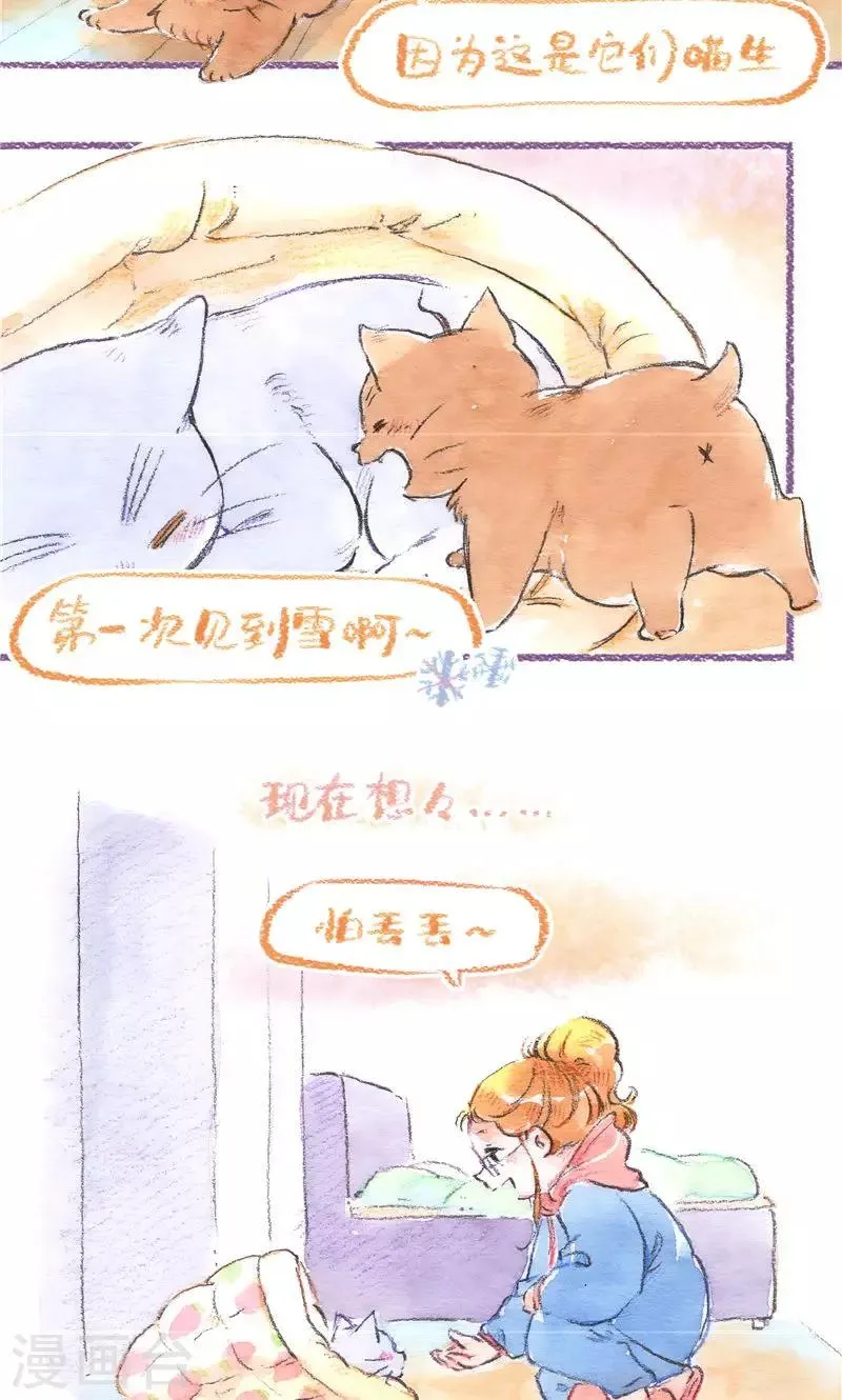 最终话 初雪 第24页