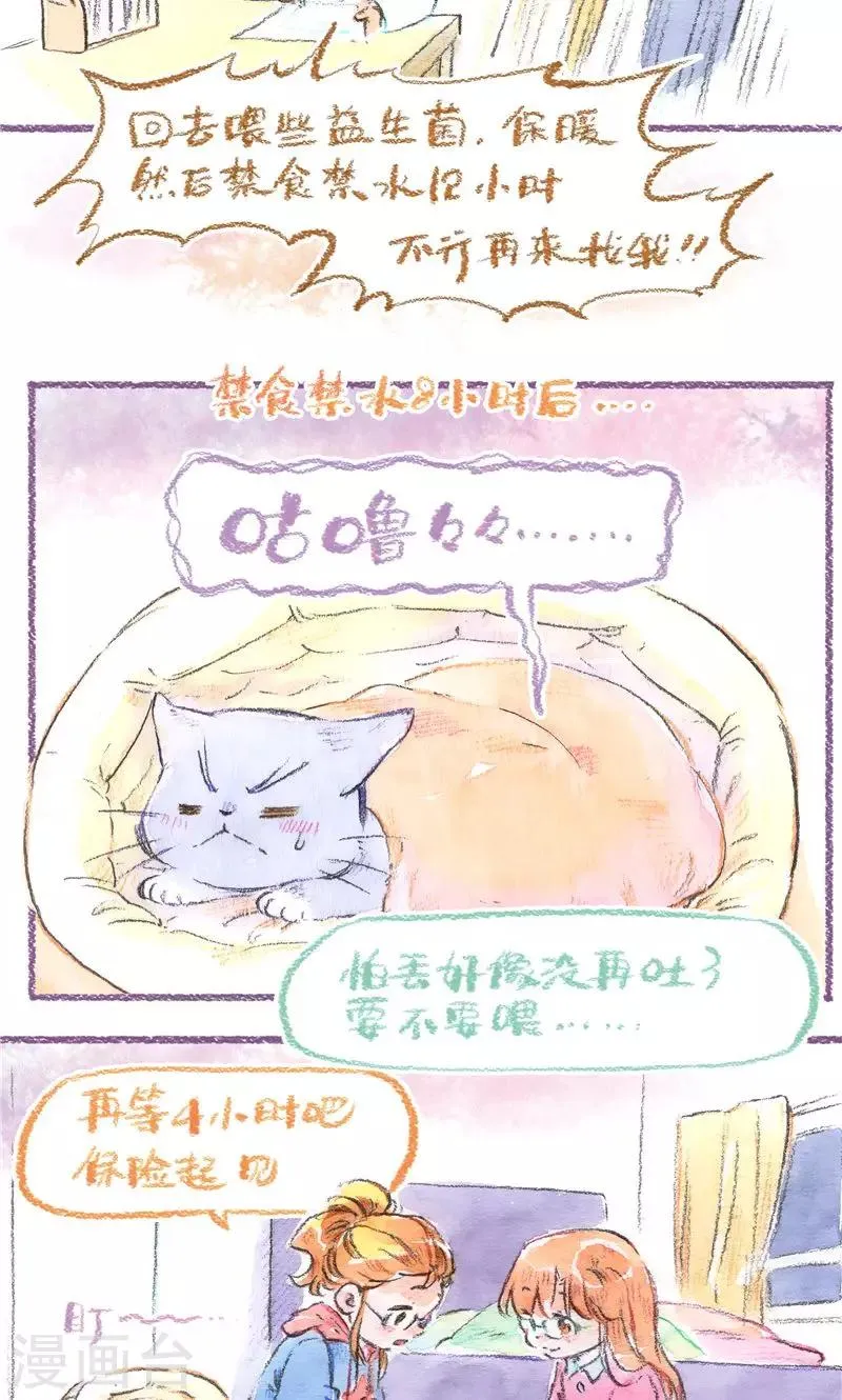 最终话 初雪 第29页