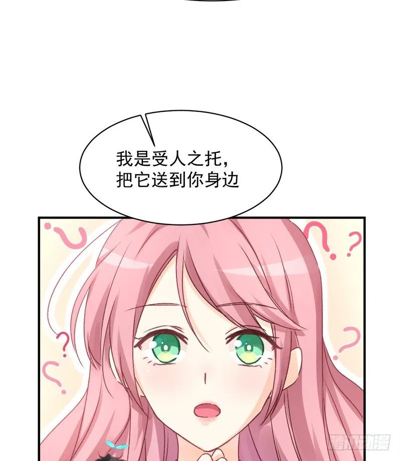 006 小景最喜欢主人了！ 第15页