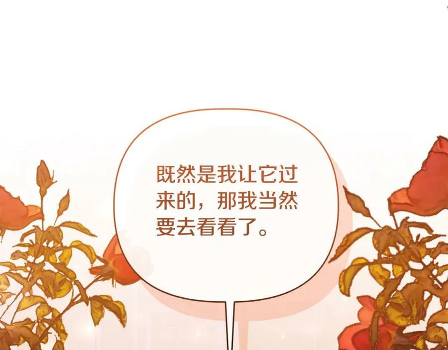 第74话 陛下的礼物 第26页