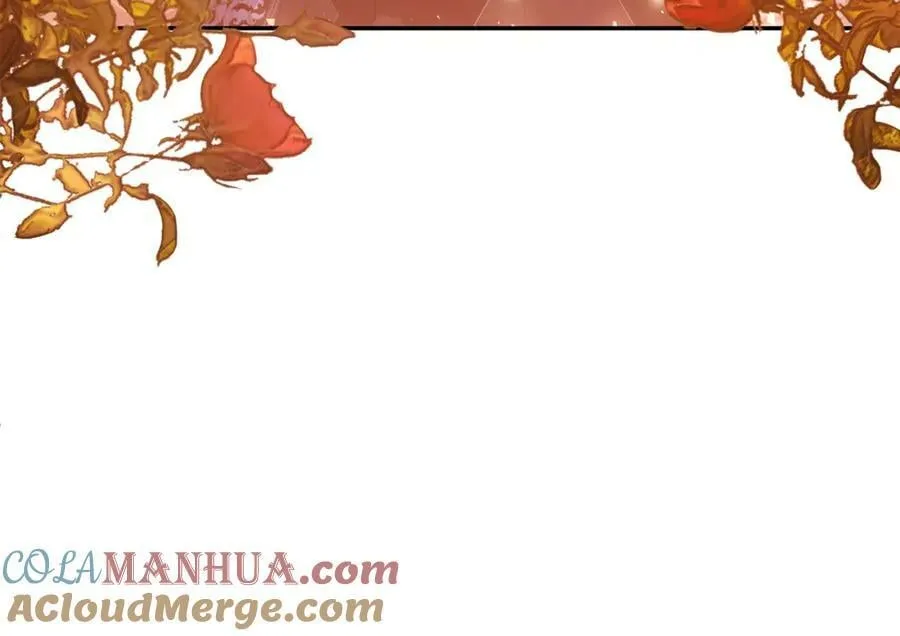 第74话 陛下的礼物 第29页