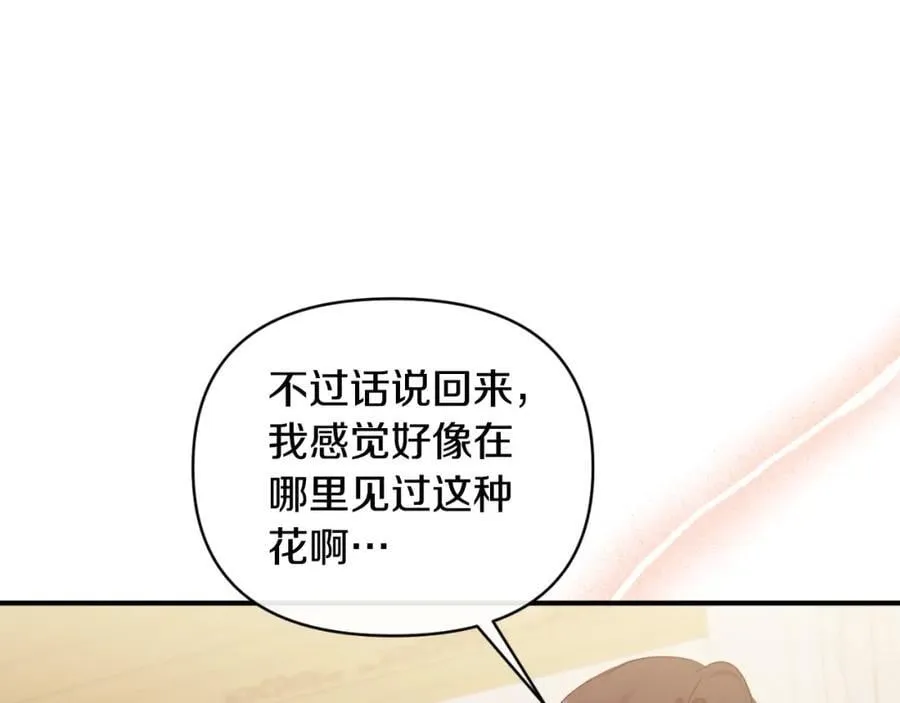第78话 可疑的花 第155页