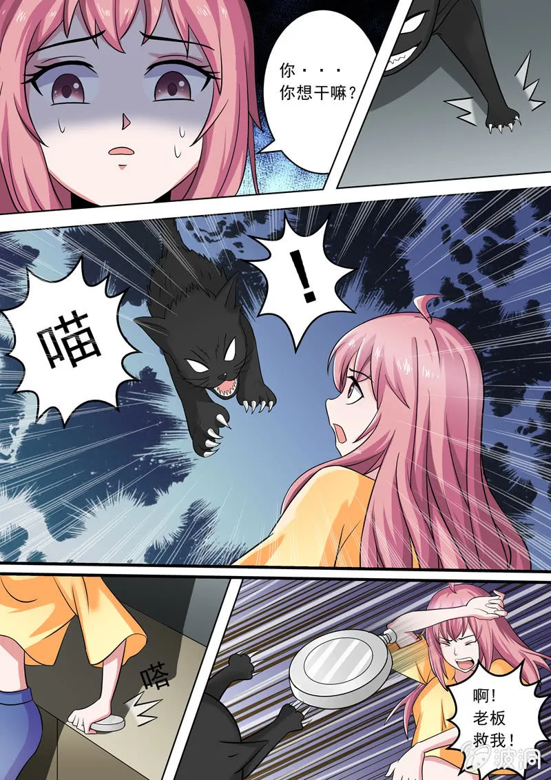 不详的黑猫 第8页