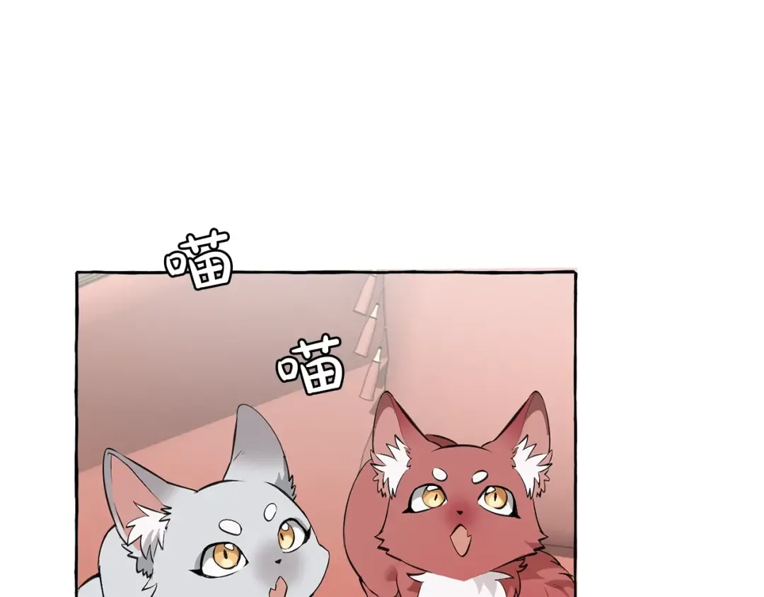 第11话 真是个冤家 第158页