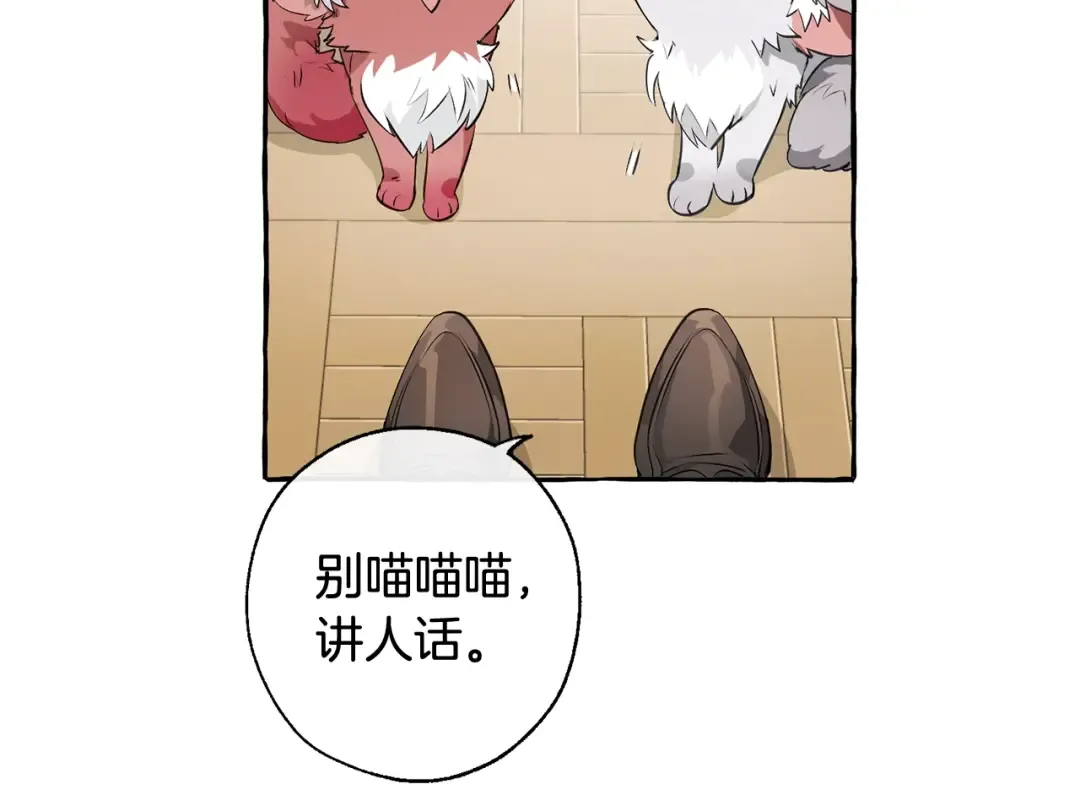 第12话 奇怪的传闻 第12页