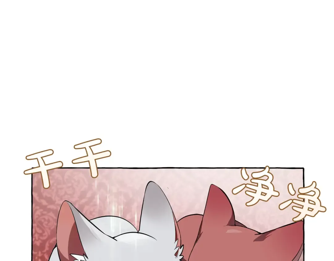 第13话 我讨厌兔子 第6页