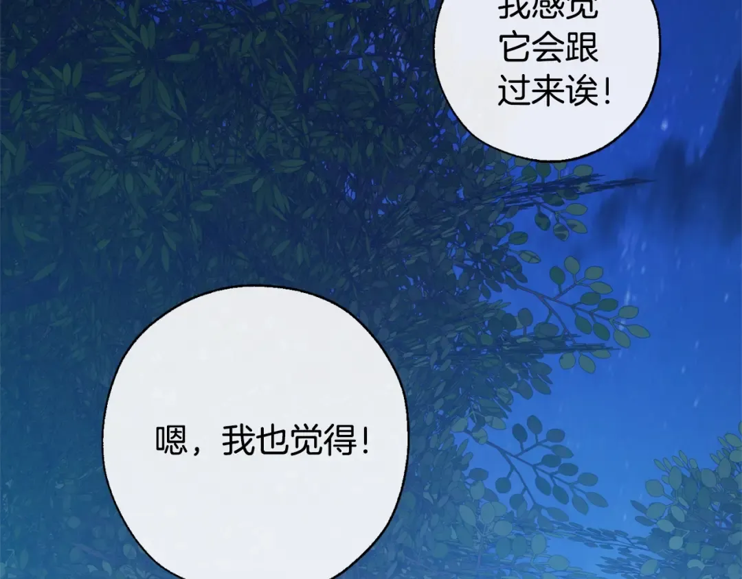 第20话 守护与拯救 第97页