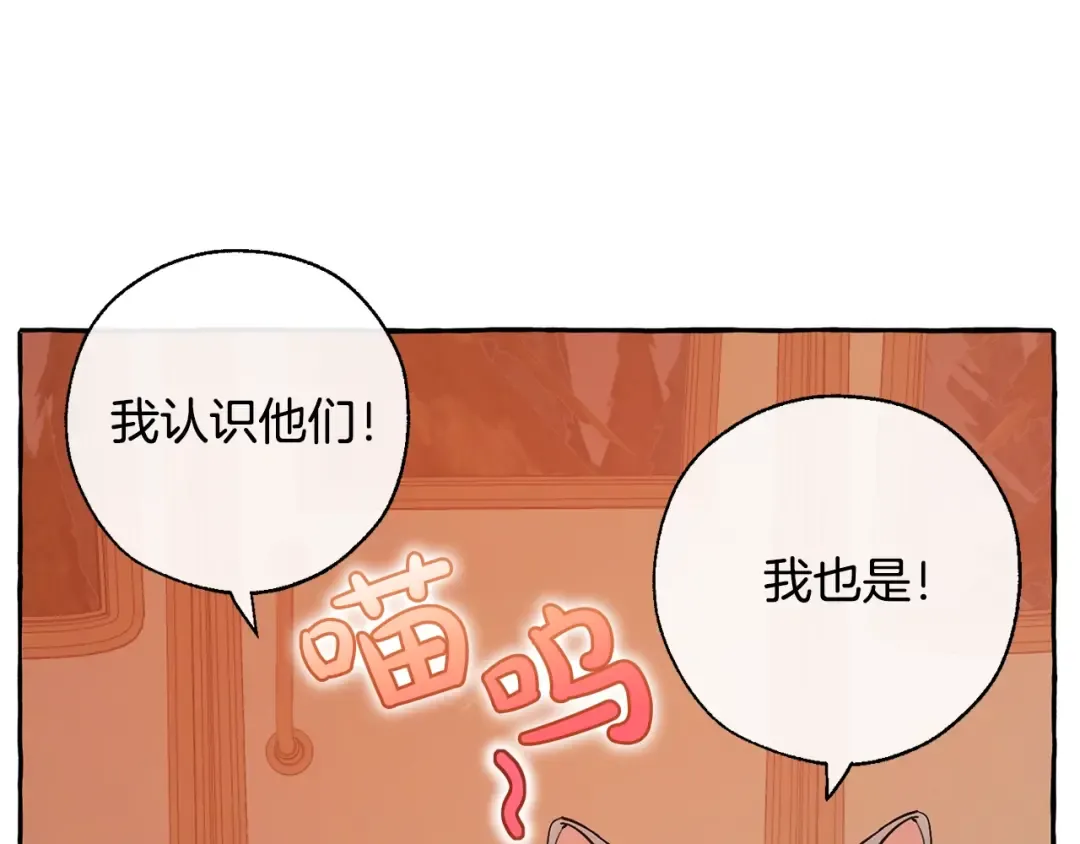 第29话 又来了三个 第41页