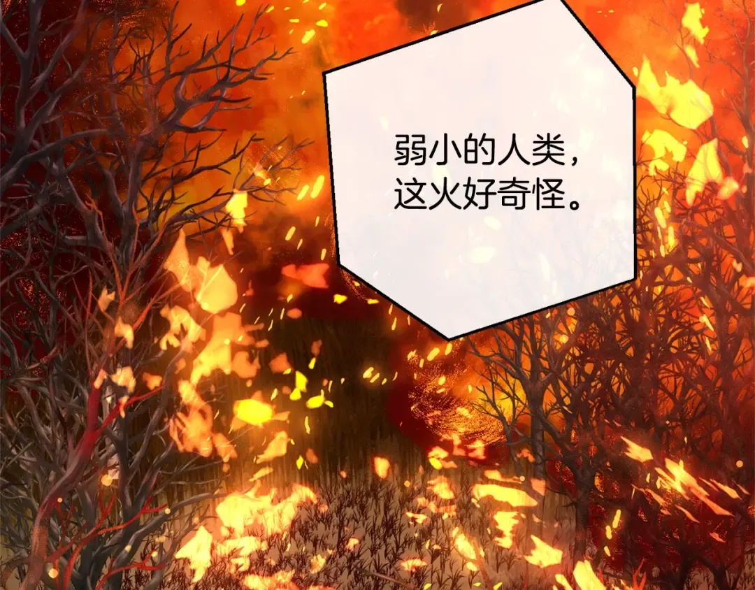 第107话 别跟过来 第5页