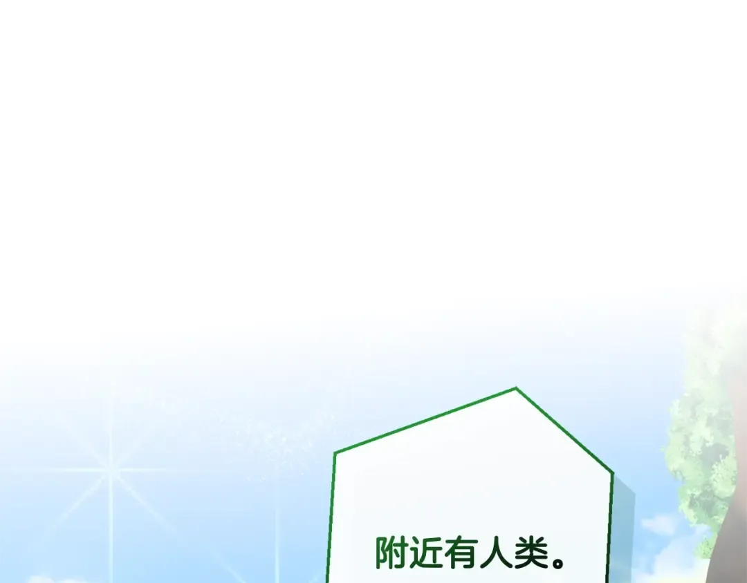 第118话 行动开始 第145页