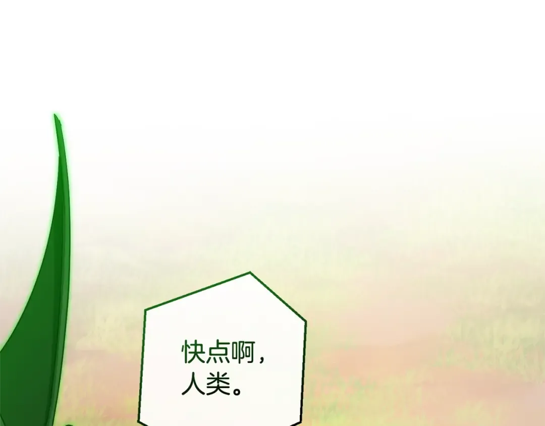 第118话 行动开始 第177页