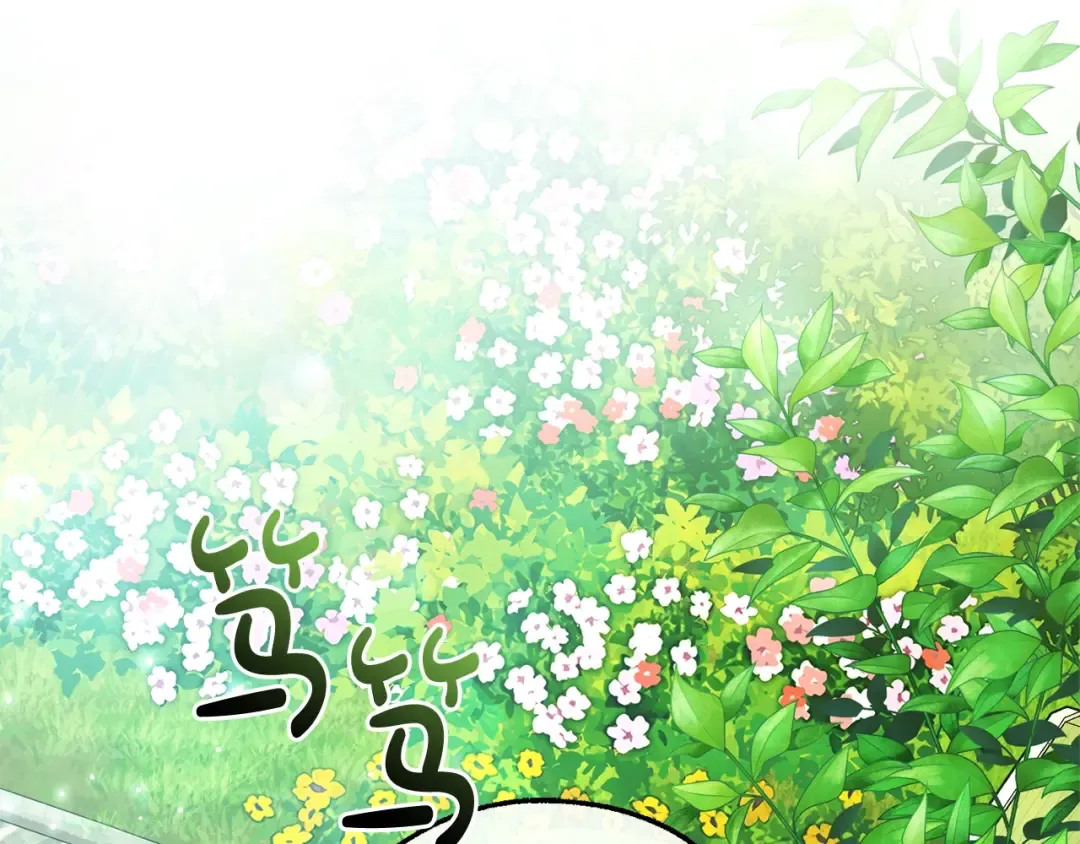 第127话 外凡骑士团 第2页