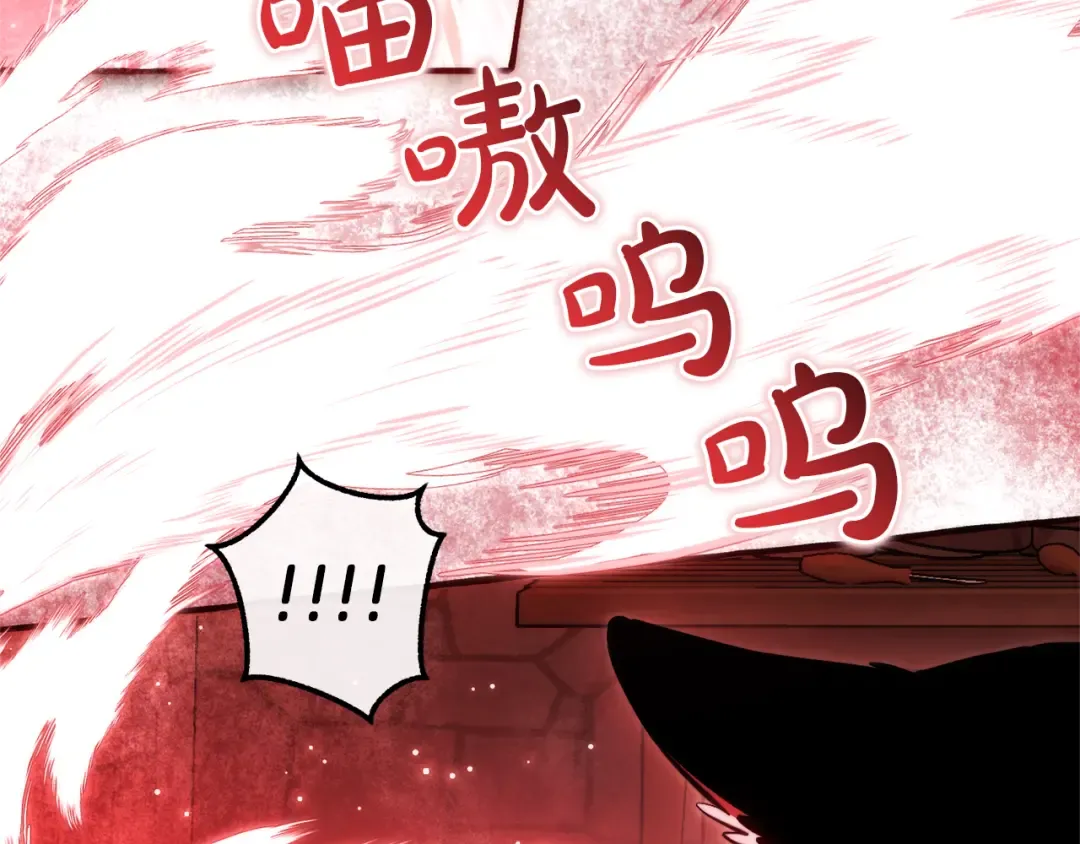 第137话 冤大头 第62页