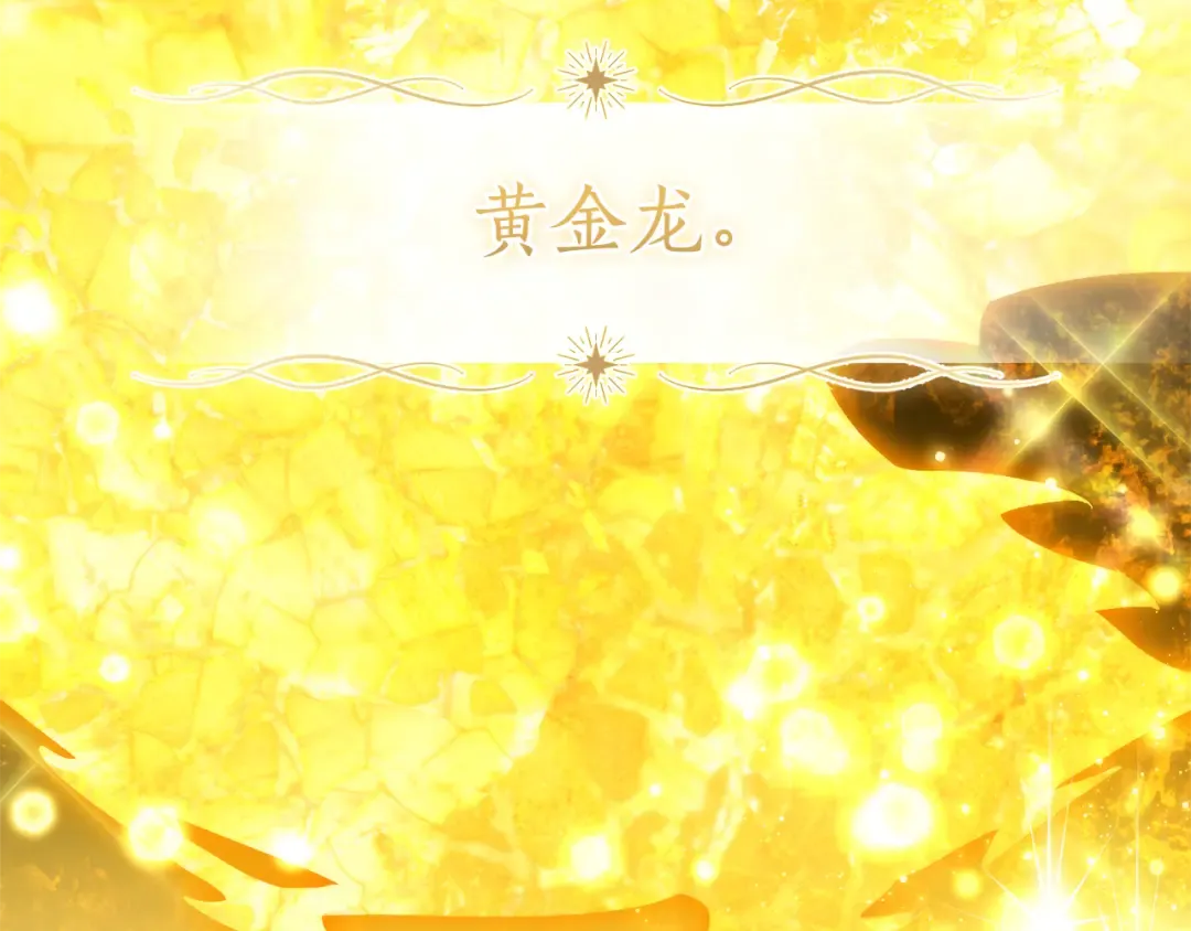 第143话 美丽的黄金龙 第78页