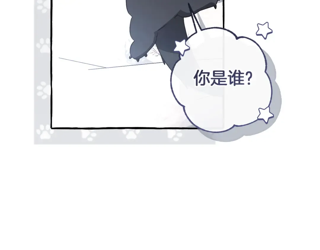第143话 美丽的黄金龙 第205页