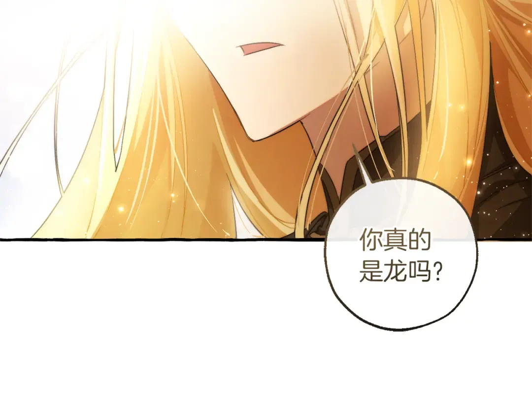 第143话 美丽的黄金龙 第207页