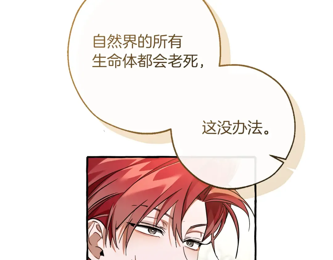 第146话 预料之外的见面 第20页