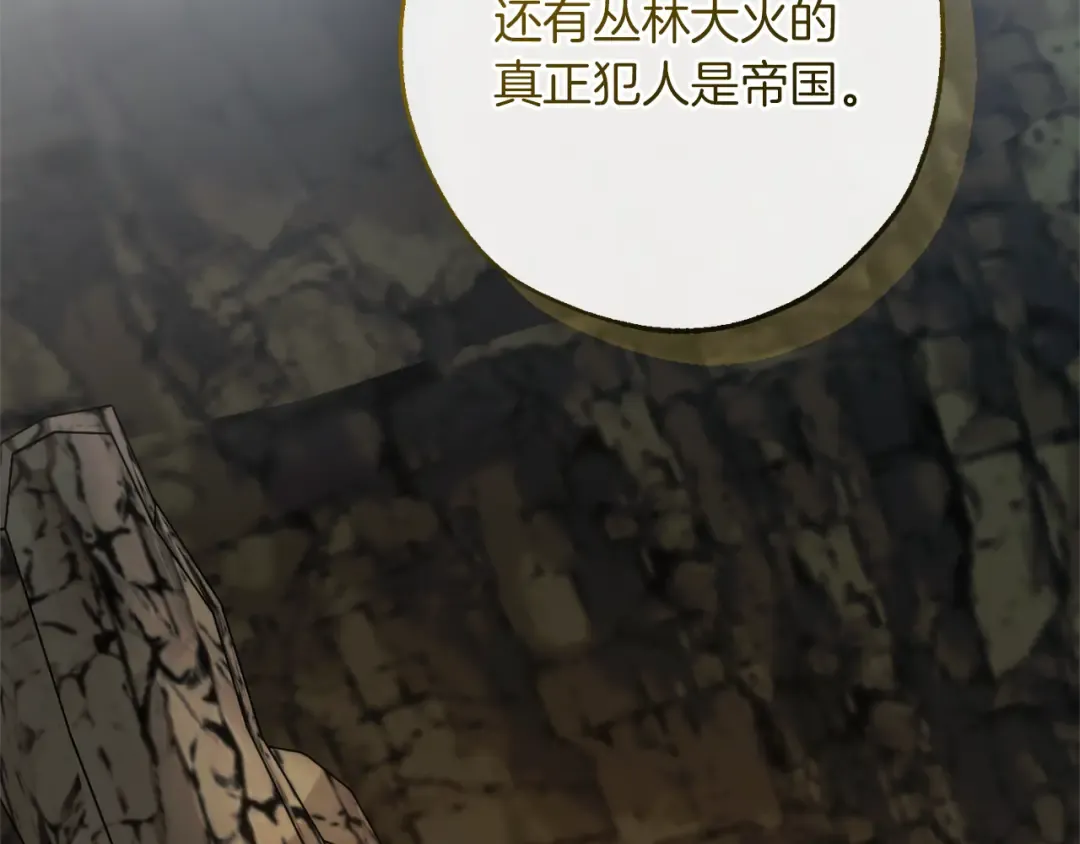 第148话 双胞胎的过去 第84页