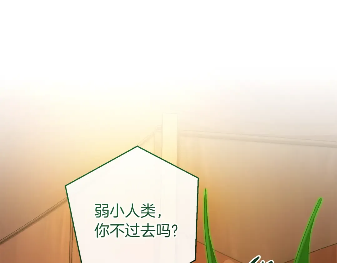 第158话 会谈开始 第119页