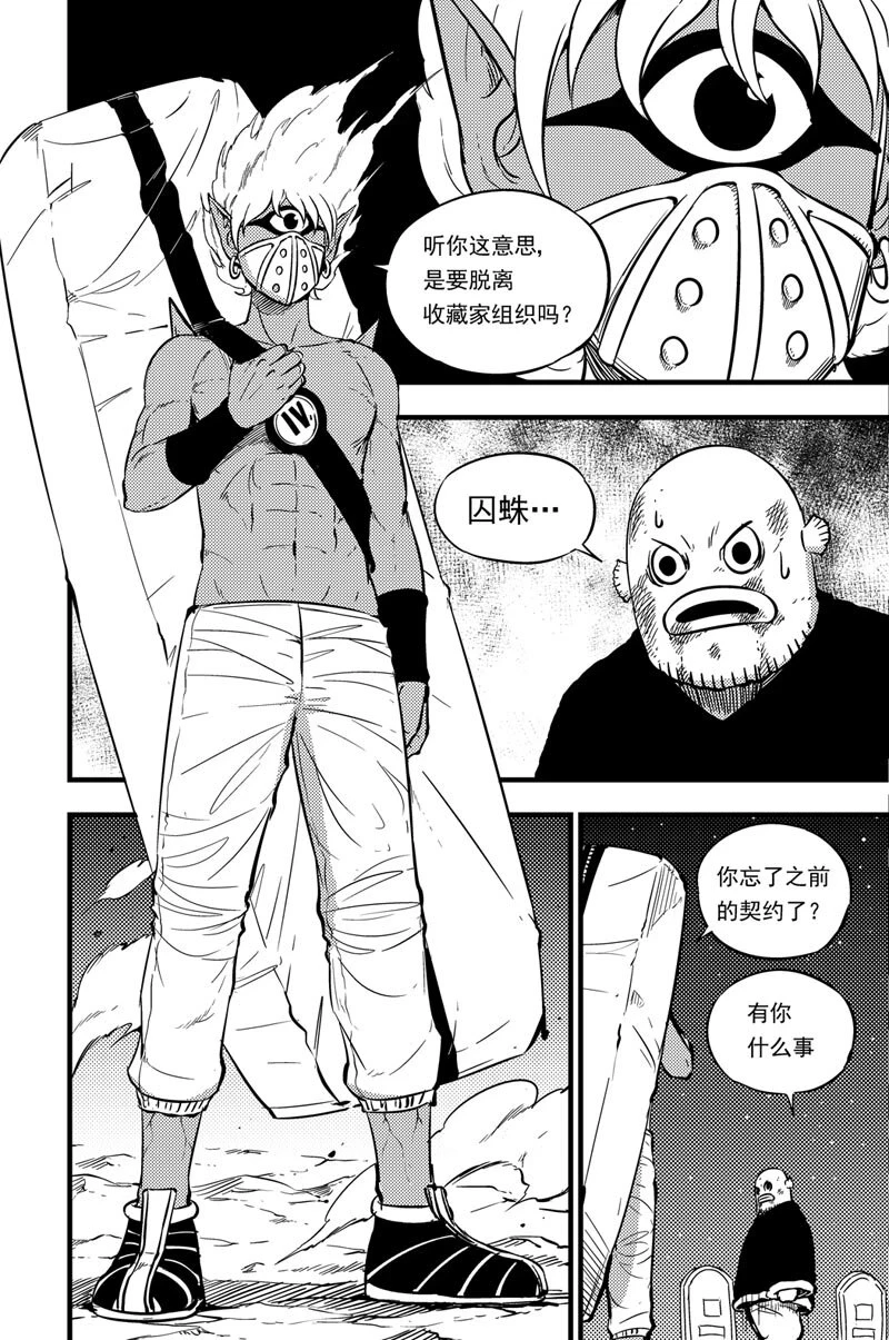 050 收藏家 第11页