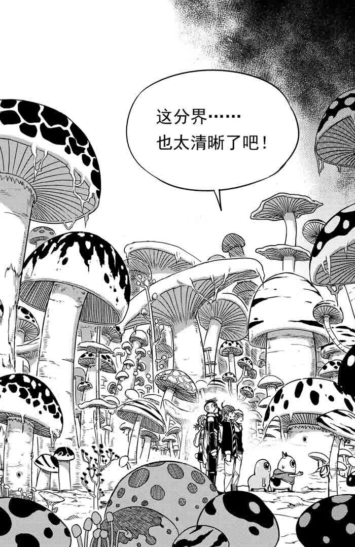 055 深红之林 第10页