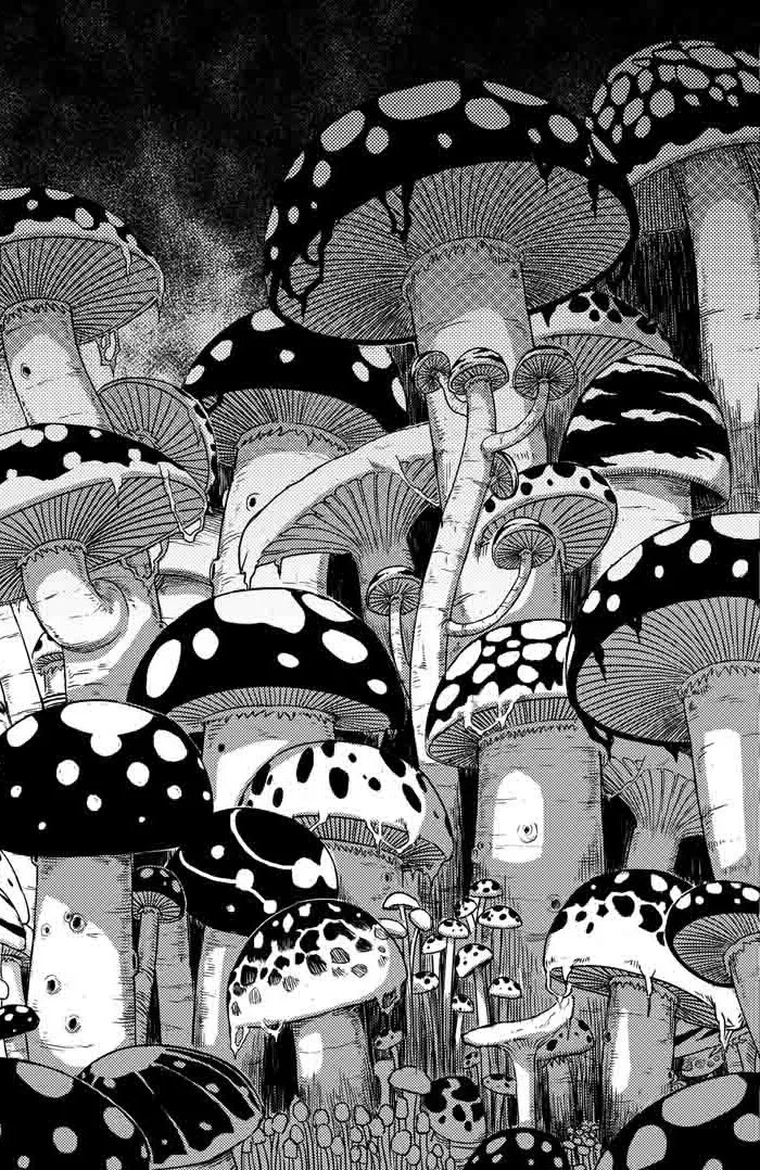 055 深红之林 第11页