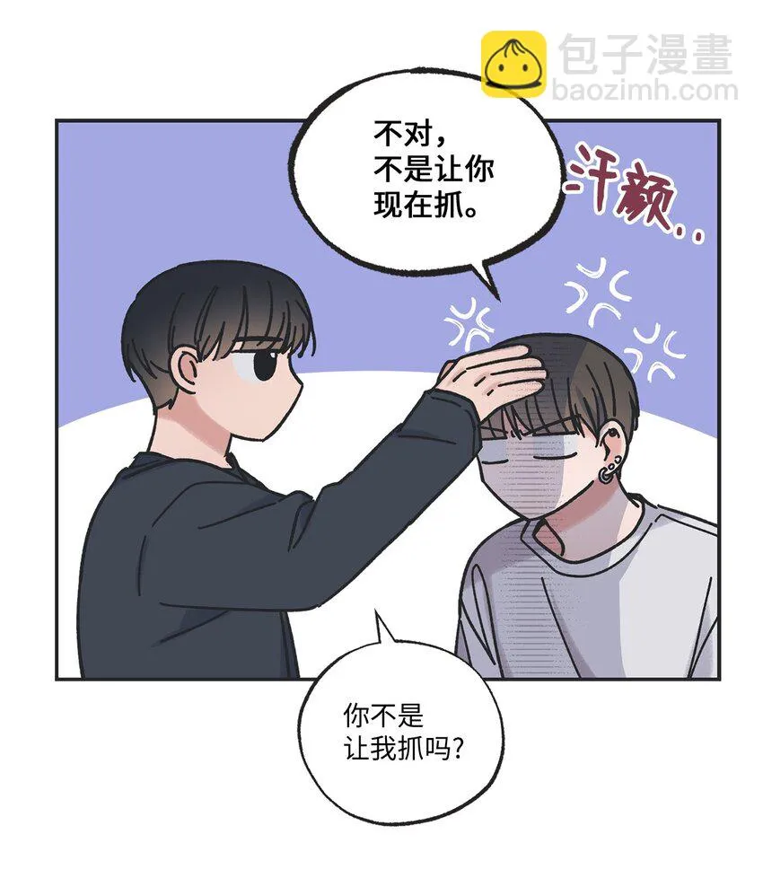 17 公园半日游 第8页