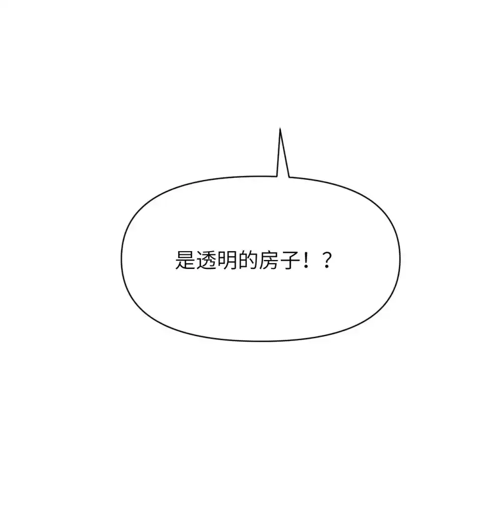 47 开幕 第99页