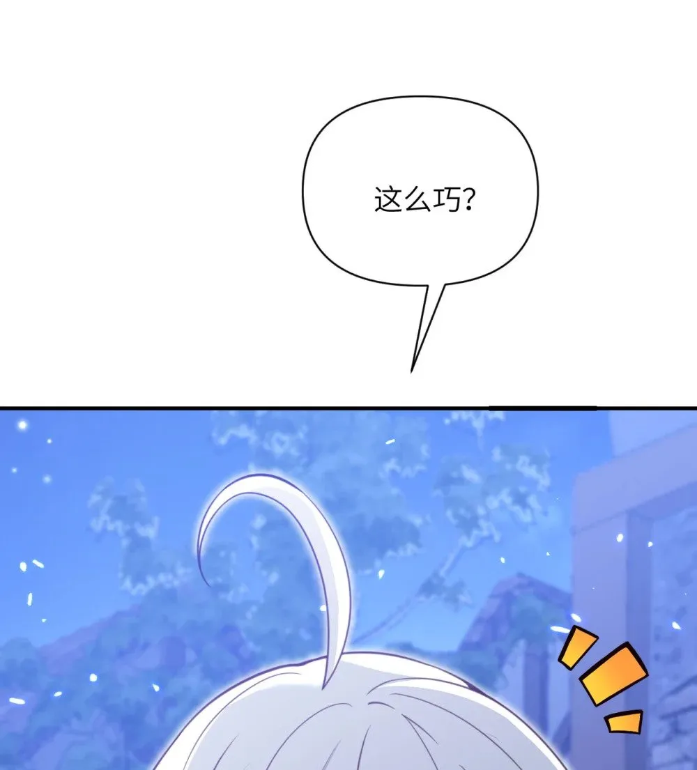63 举报者 第38页