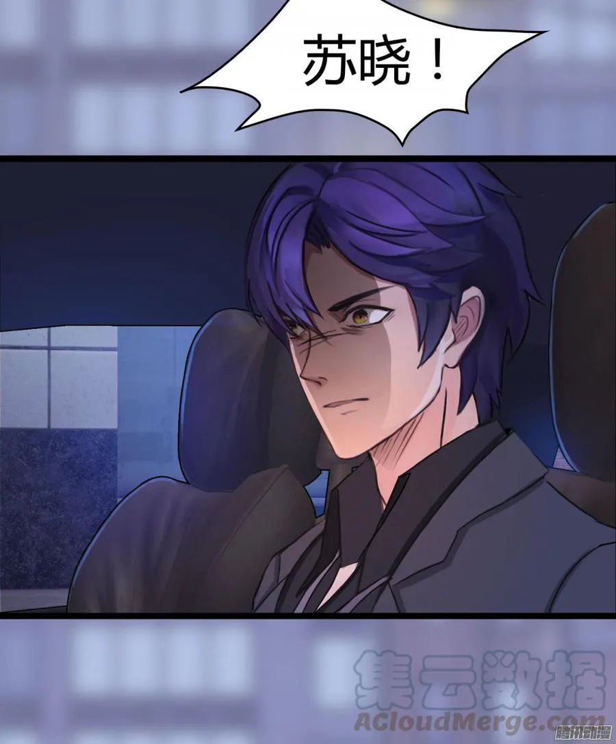 027 双面间谍 第29页