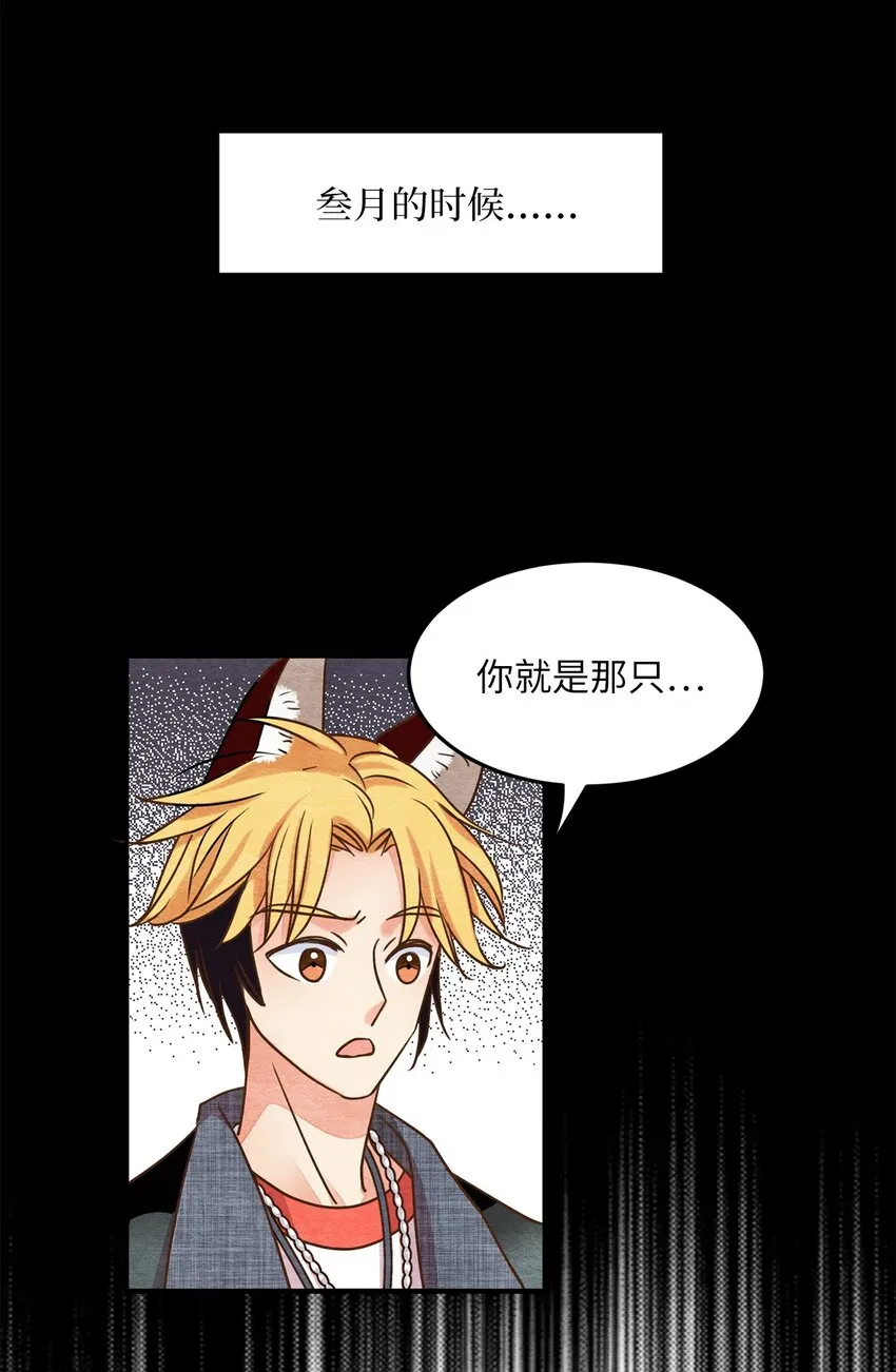 08 找到同族 第56页