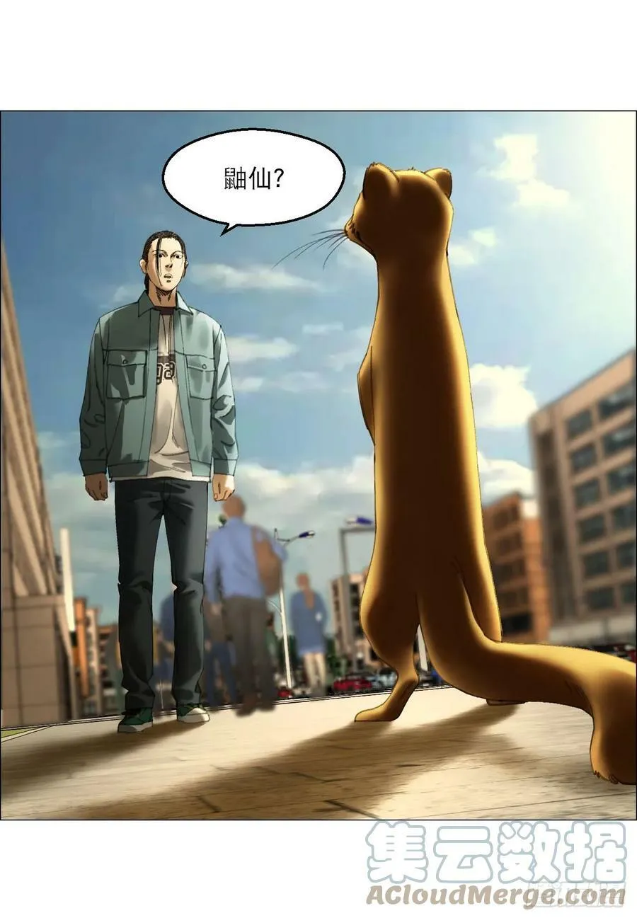 22 村长的命令 第43页