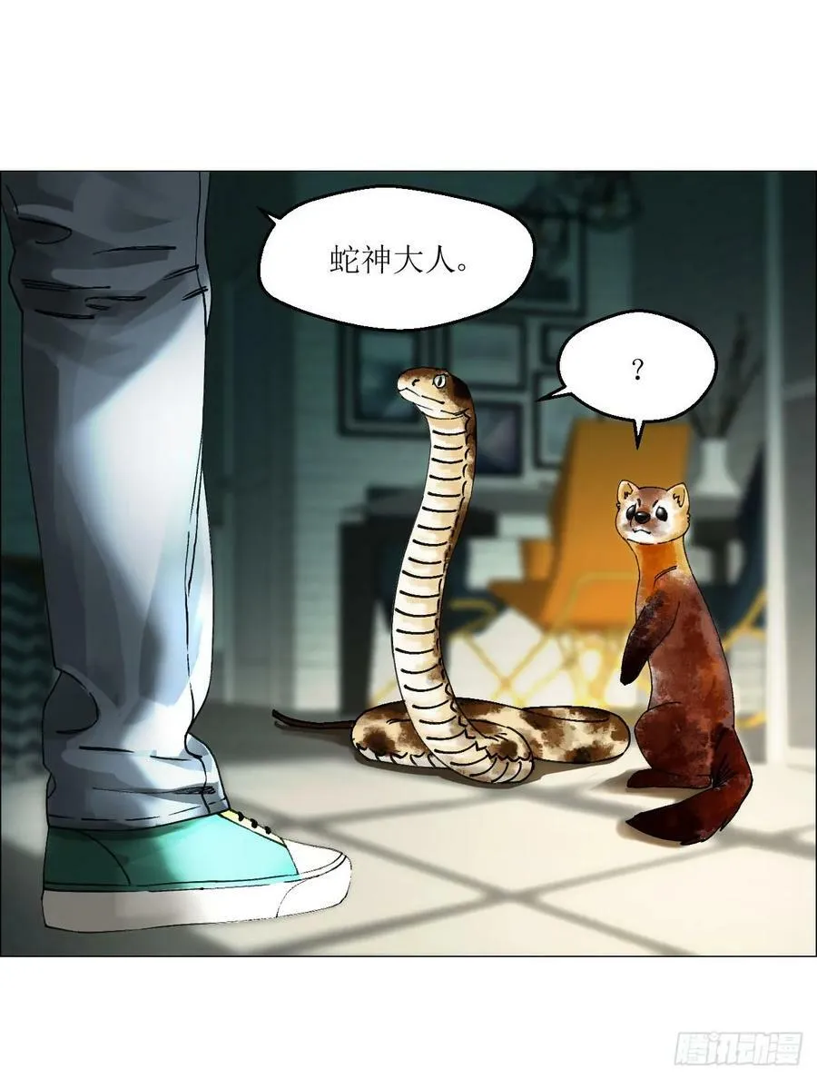 27 分工和调查 第29页