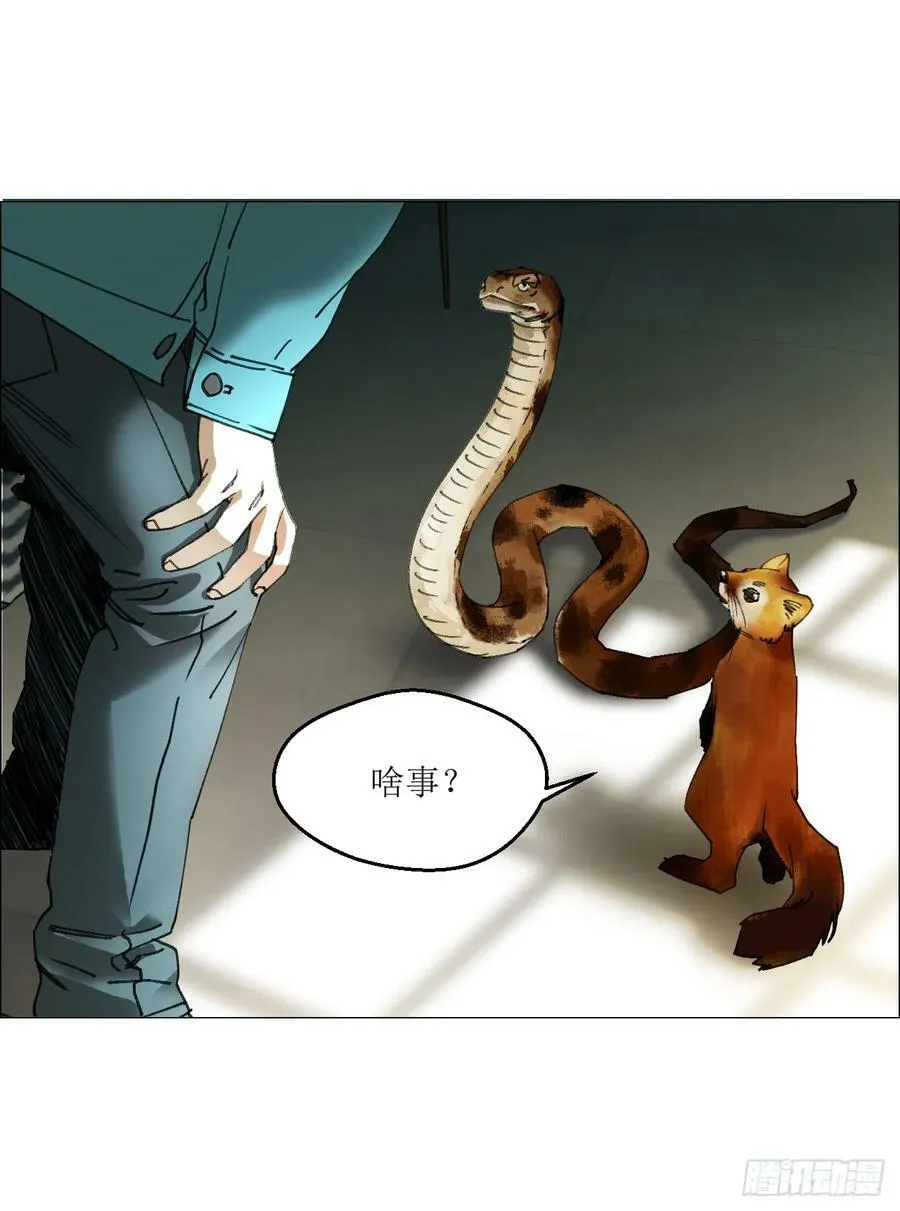 29 蝴蝶效应 第5页
