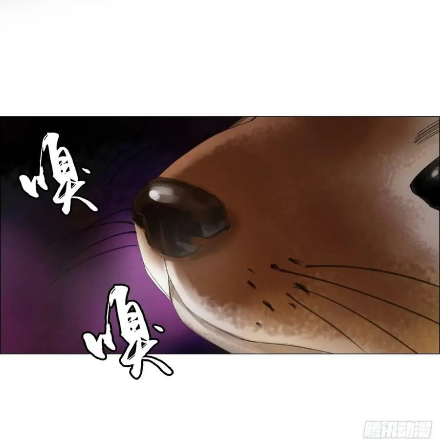 29 蝴蝶效应 第8页
