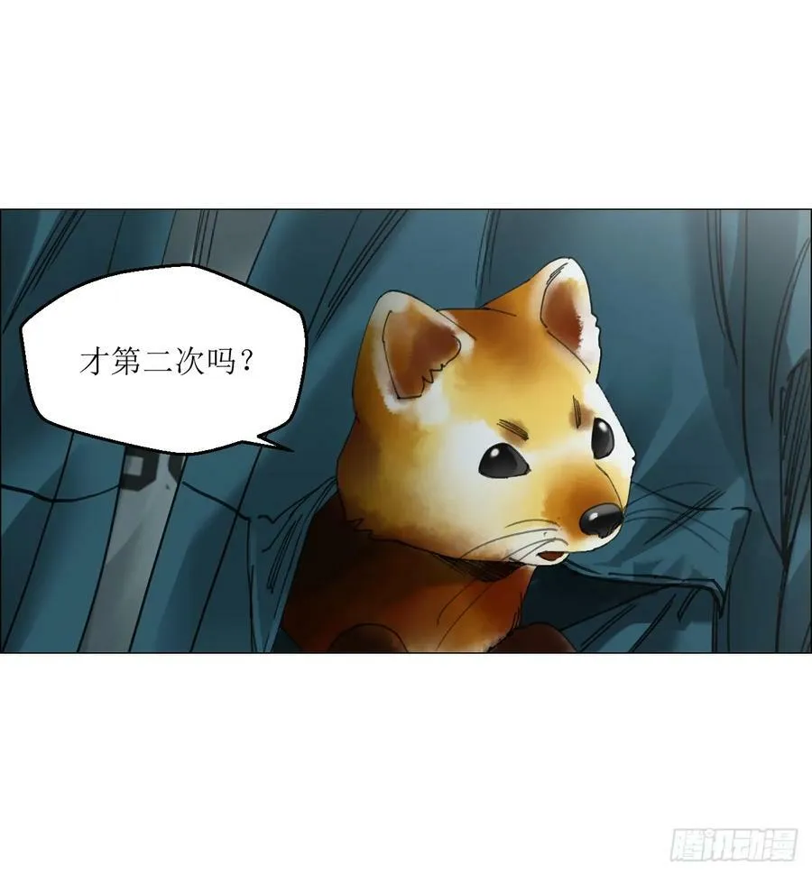 29 蝴蝶效应 第41页