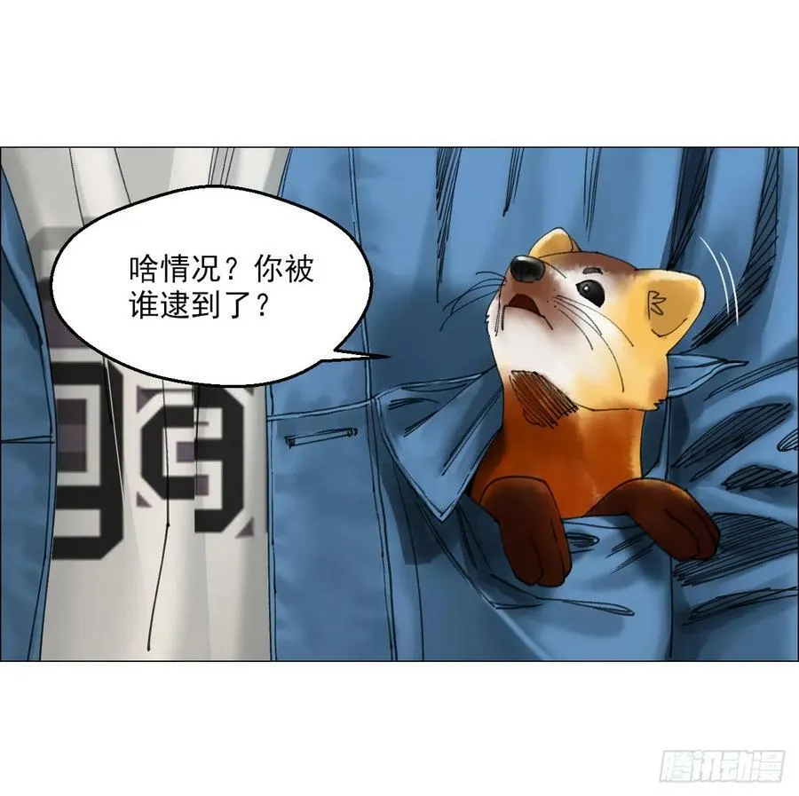 30 拜码头 第6页
