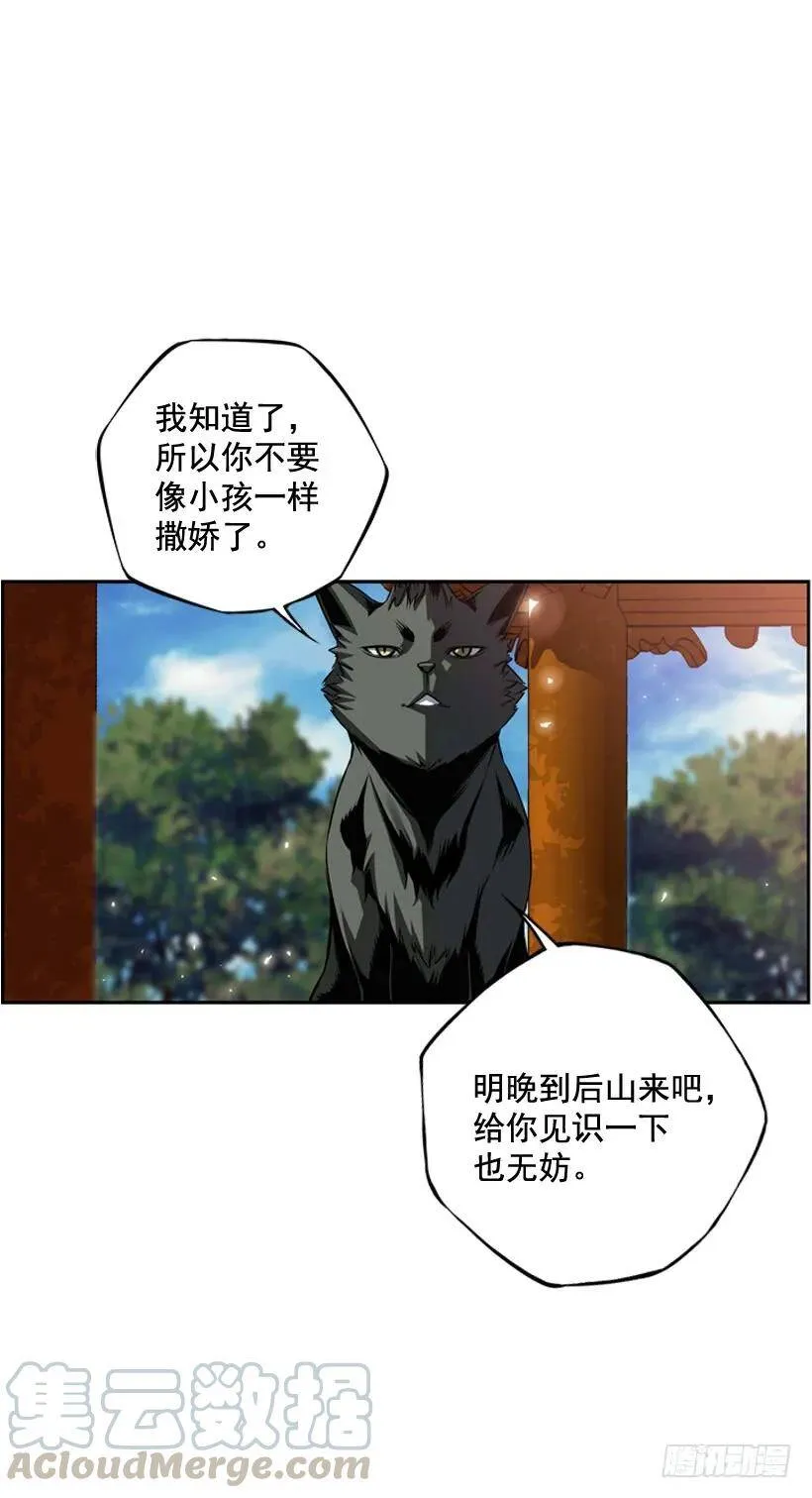 麻烦的小子 第61页