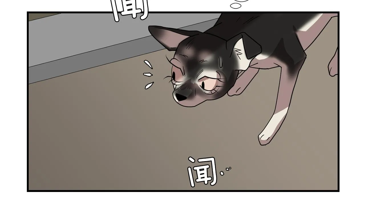 第68话 狭路相逢 第22页