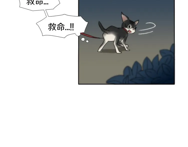 第2话 真面目 第73页