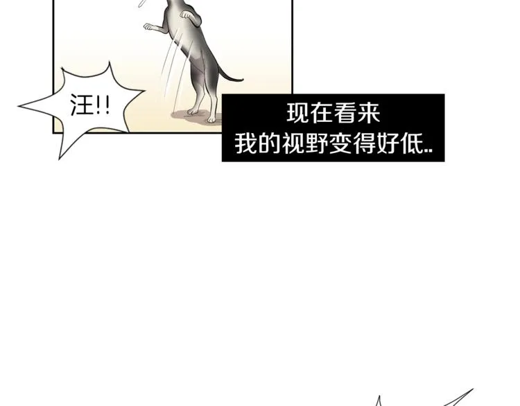 第4话 互换身体？！ 第39页