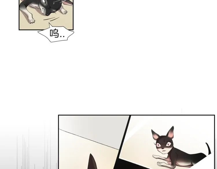 第4话 互换身体？！ 第42页