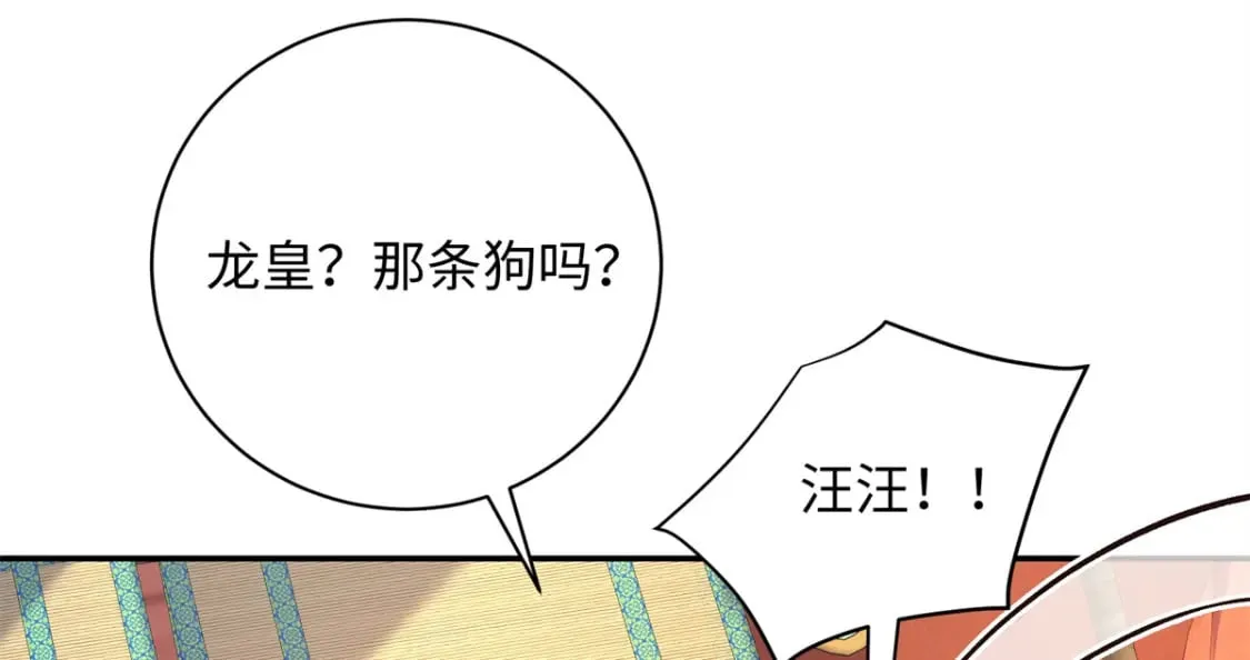 49 皇后的计谋 第20页