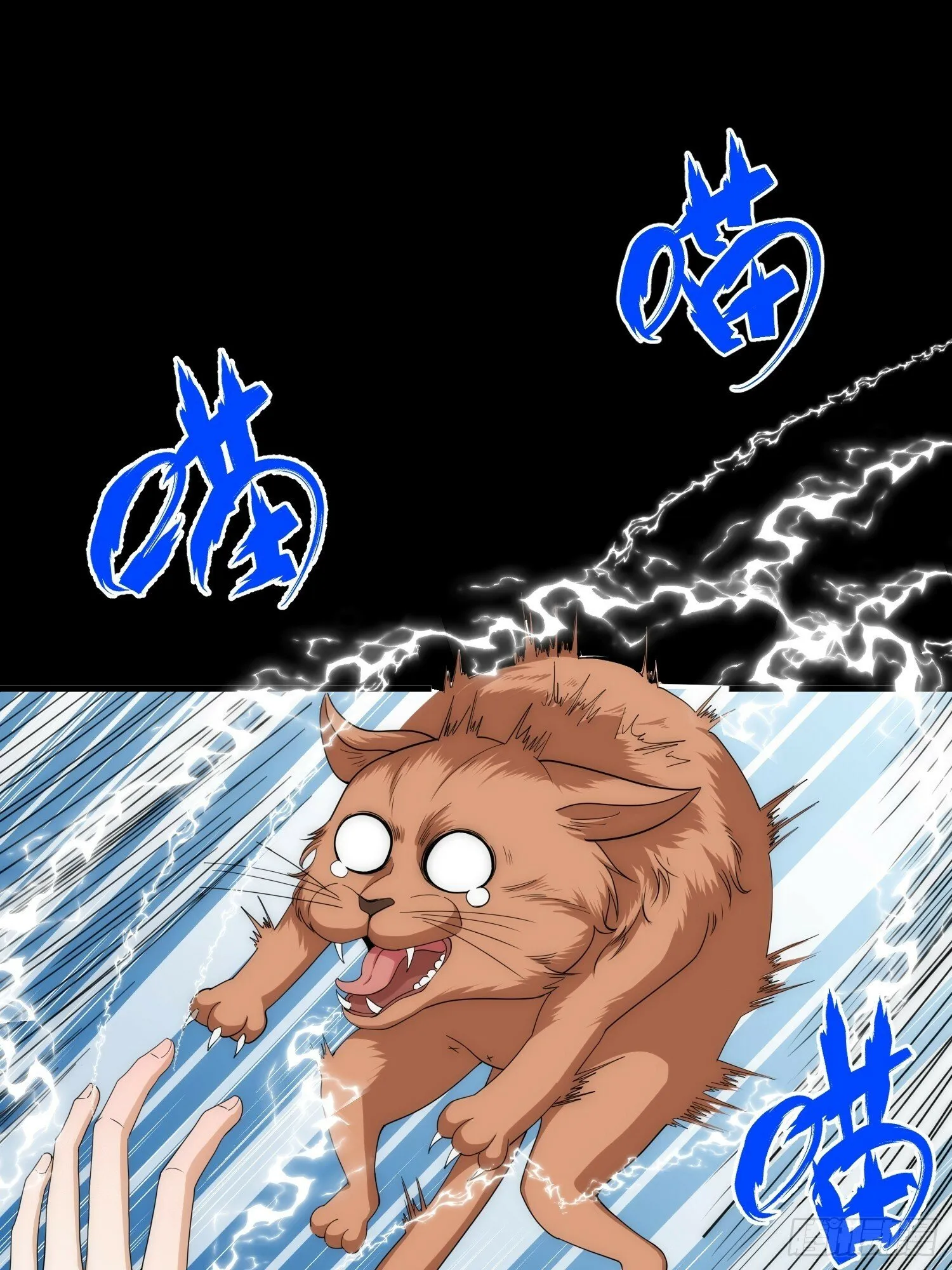 042 审判猫咪 第3页