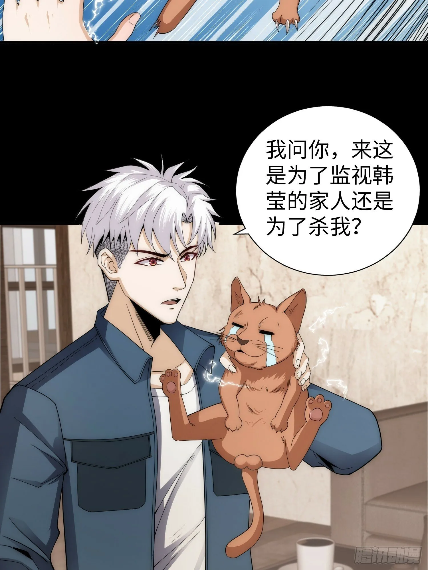 042 审判猫咪 第4页