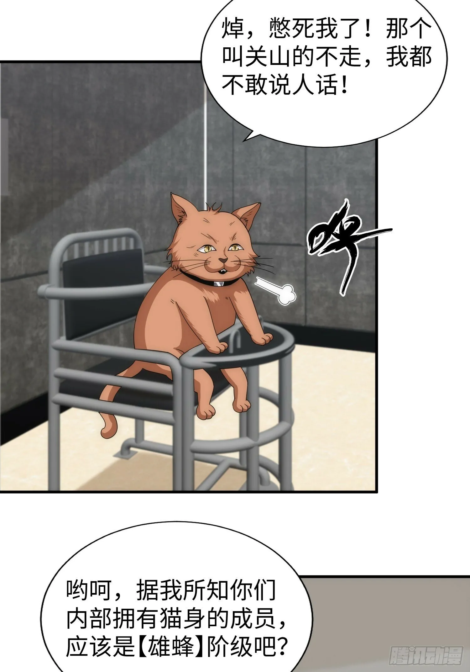 042 审判猫咪 第36页
