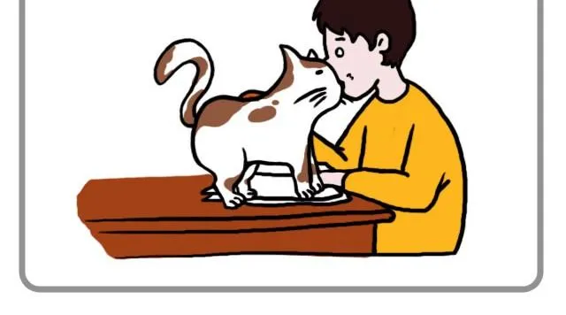 无处不在的小温暖 第4页