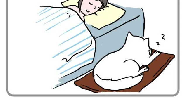 不要怕哦，我陪你 第8页